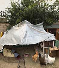 40 Aluminum foil shade net for chicken coop