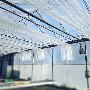 Greenhouse energy curtains - Customizable