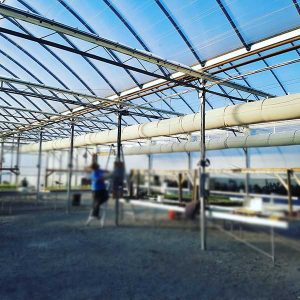 Greenhouse energy curtains - Energy savings