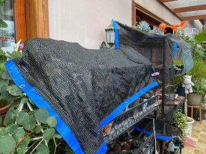 Recommend Shade Cloth Density For Plants 800x600