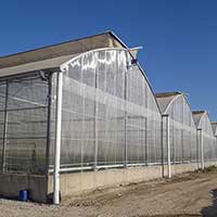 Greenhouse Screens